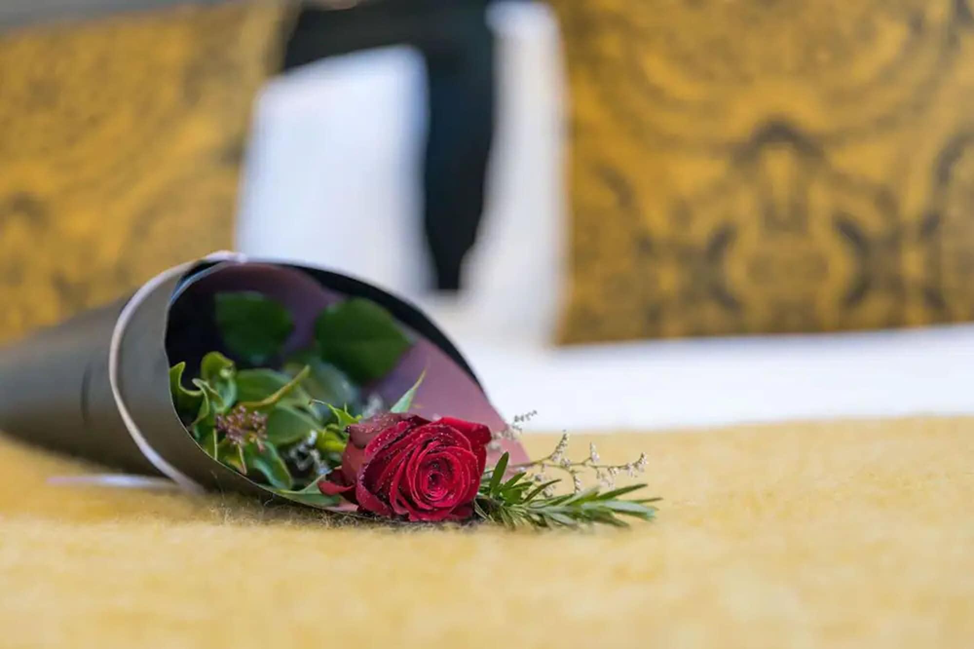 Palazzo Motor Lodge Nelson Luaran gambar A rose in a vase
